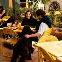 Comensales con mascota
